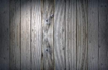 Nature structure wood grain Photo