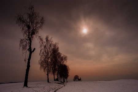 Landscape tree nature horizon Photo