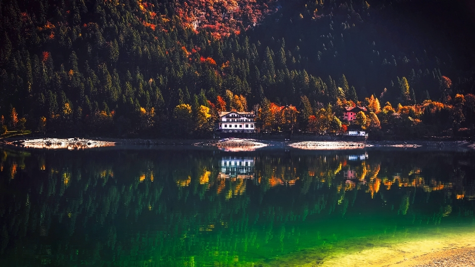 風景 木 水 自然