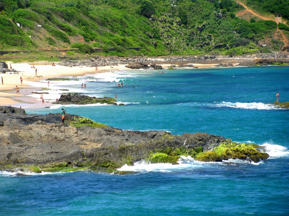 Beach landscape sea coast