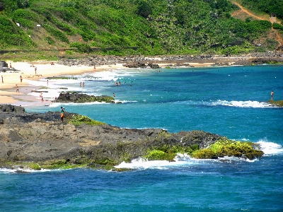 Beach landscape sea coast Photo