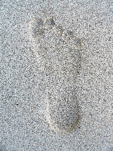 Sand texture footprint asphalt Photo