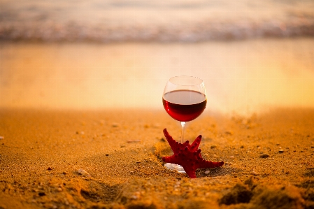 Beach sea sand wine Photo