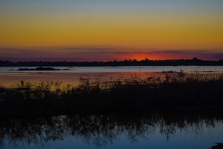 Landscape tree water nature Photo