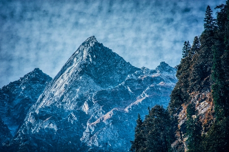 Foto Paisagem árvore natureza ar livre