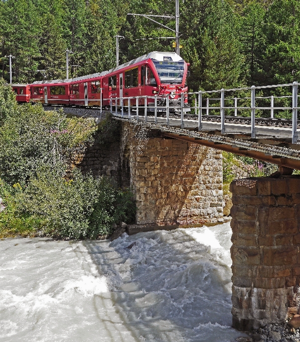 Arbre eau usine piste