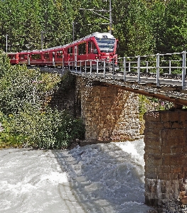 Tree water plant track Photo