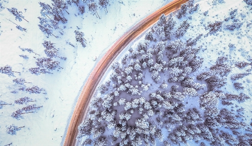 Zdjęcie Krajobraz drzewo woda natura