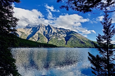 Landscape tree water nature Photo