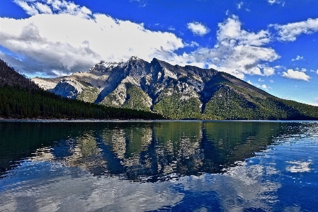 Landscape tree water nature Photo