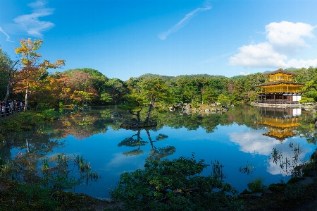 Landscape tree water nature Photo