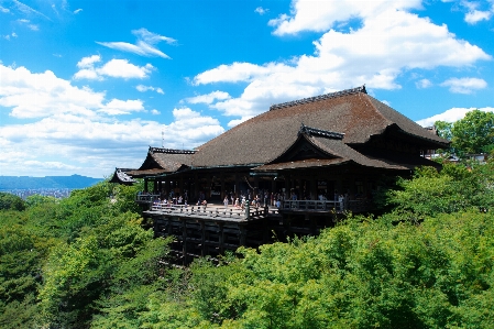 風景 木 自然 山 写真