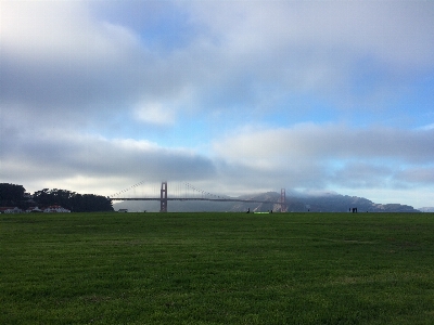 Landscape tree grass horizon Photo