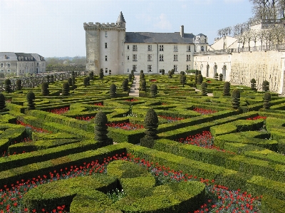 Foto árvore grama castelo
 palácio