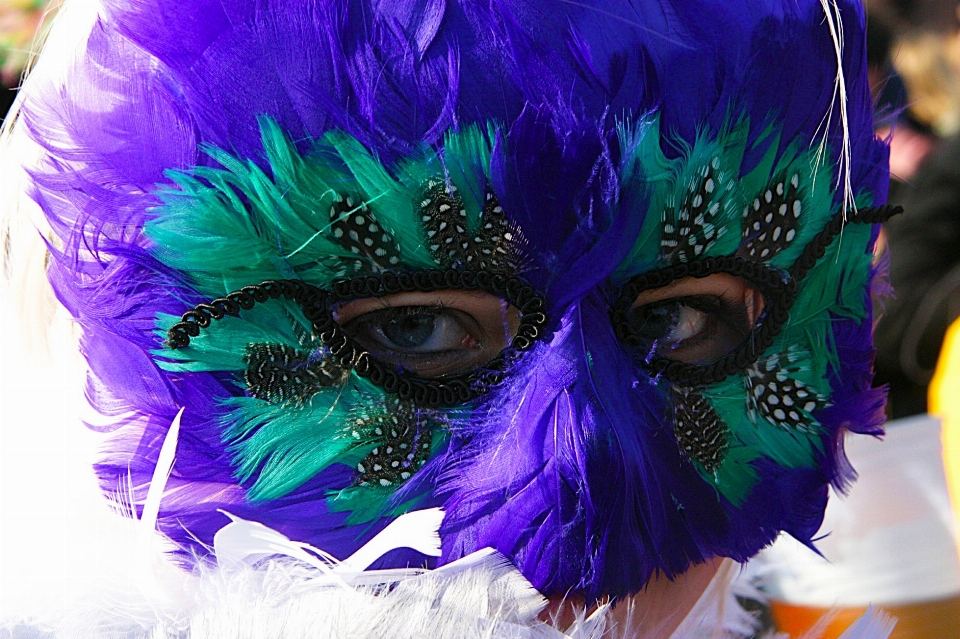 Purple celebration green carnival