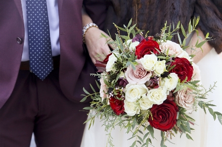 Plant flower petal bouquet Photo