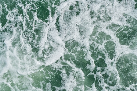 木 水 海洋 白 写真