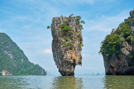 風景 海 海岸 木 写真