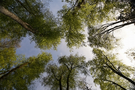 Landscape tree water nature Photo