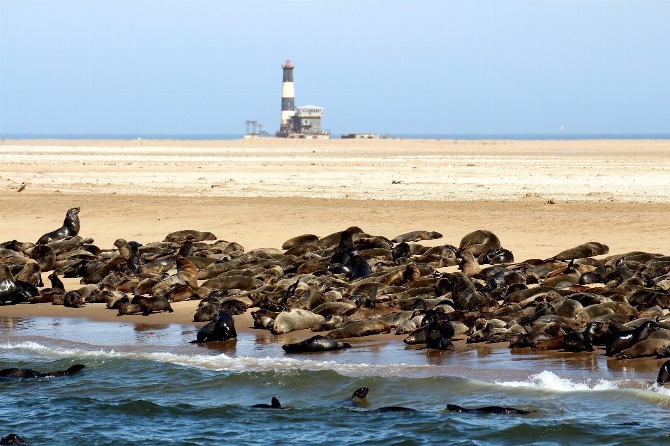 Plage mer côte eau