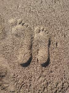 Strand meer sand rock Foto