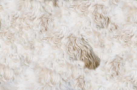 Abstract leather warm texture Photo