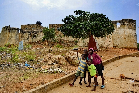 Photo Arbre ciel jouer mur