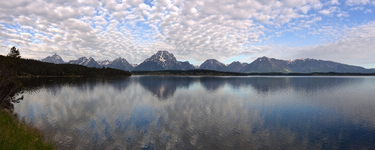 Foto Paisagem árvore água natureza