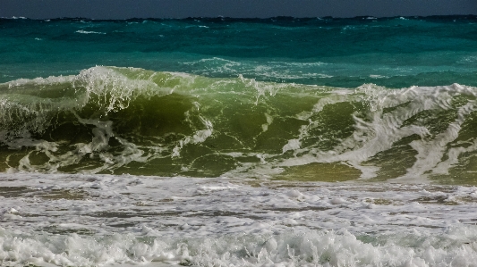 Beach sea coast water Photo