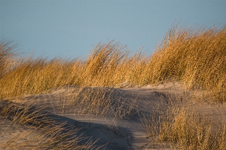 Beach landscape sea coast Photo