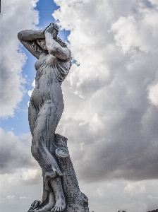 Tree cloud sky woman Photo