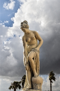 Tree cloud sky woman Photo