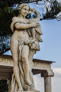 Tree woman monument female Photo