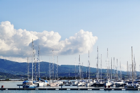 Foto Paisagem mar árvore água