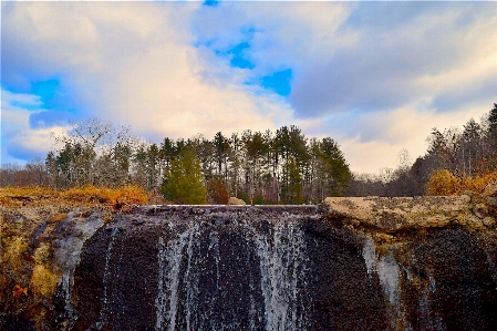 Landscape tree water nature Photo