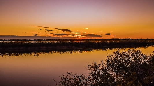 Landscape tree water nature Photo