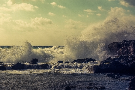 Beach sea coast water Photo