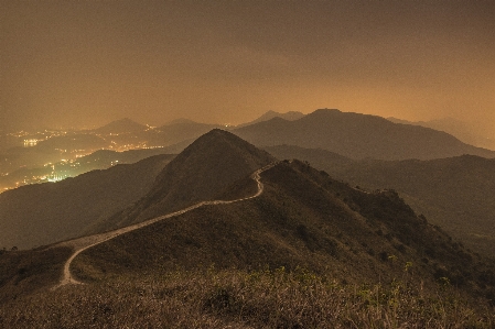 風景 木 自然 草 写真