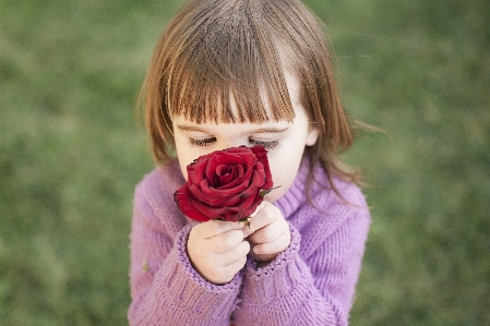 Anlage mädchen blume blütenblatt Foto