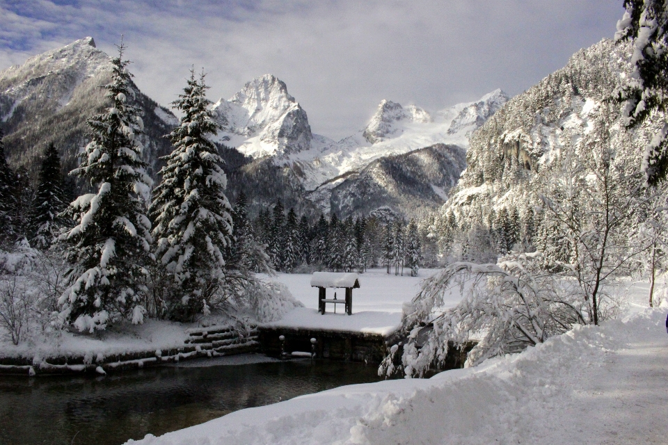 Paisagem árvore água natureza