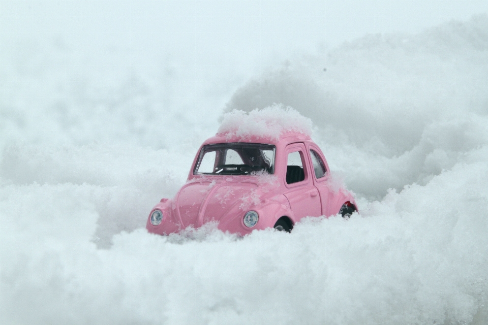 雪 冬天 路 交通