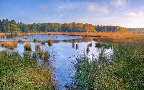 Landscape tree water nature Photo