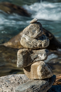 Driftwood water rock wood Photo