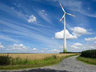 Landscape nature grass horizon Photo