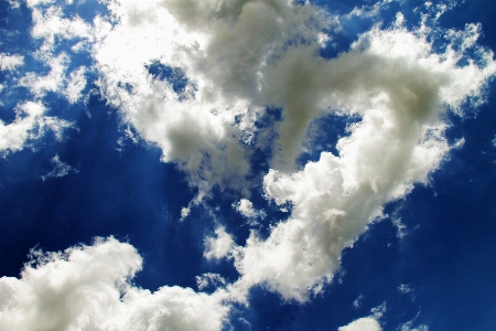 Landscape nature light cloud Photo