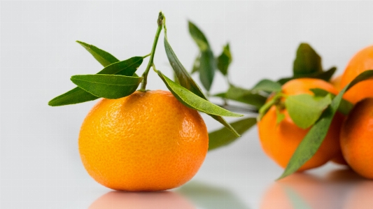 Branch fruit orange food Photo