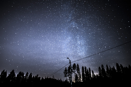 木 自然 空 夜 写真