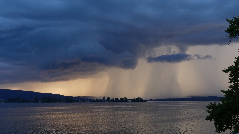 Paesaggio albero acqua orizzonte