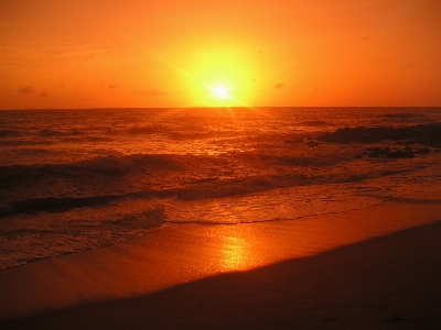 Beach sea coast water Photo