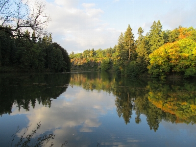 Landscape tree water nature Photo